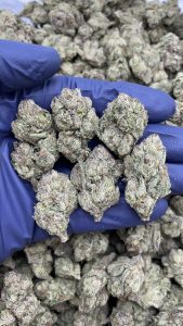 hawaiian runtz strain