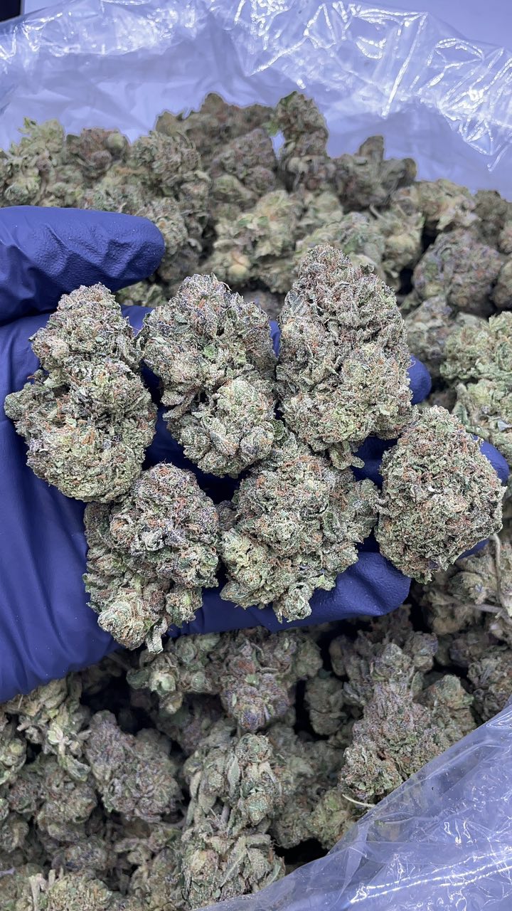 frosted grapes strain frosted grapes strain