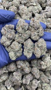 cherry popperz strain