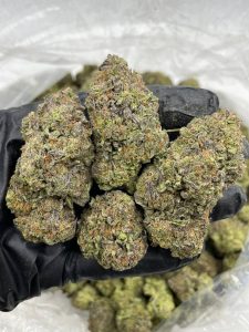 raspberry gelato strain