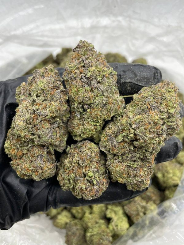 raspberry gelato strain