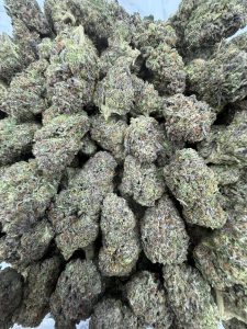 obama runtz strain