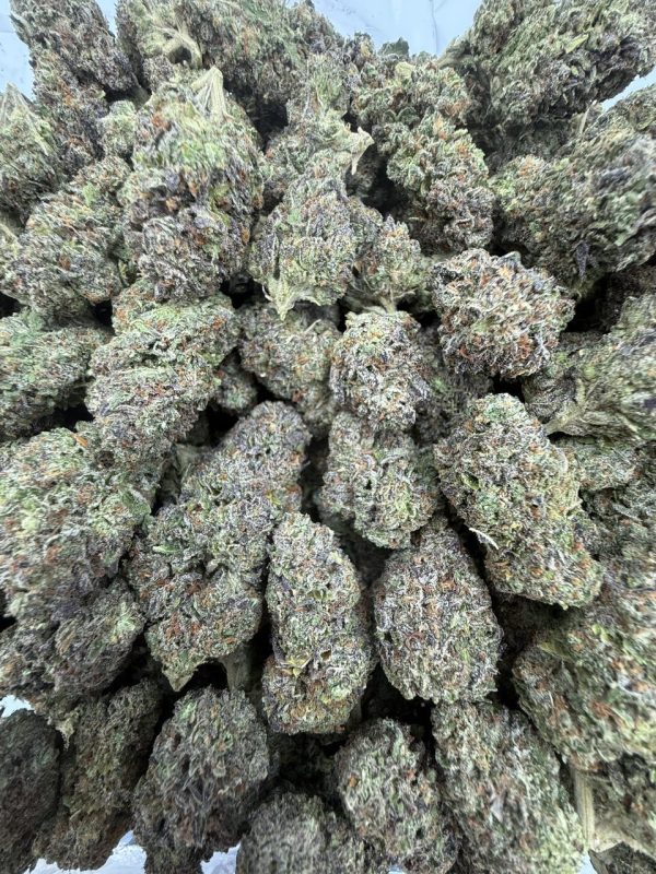 obama runtz strain