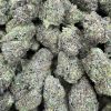 obama runtz strain