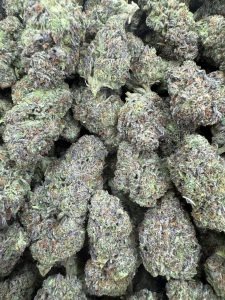 obama runtz strain