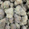 sherbadelic strain