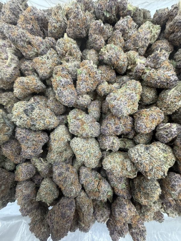 sherbadelic strain