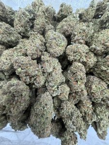 strawberry gelato strain