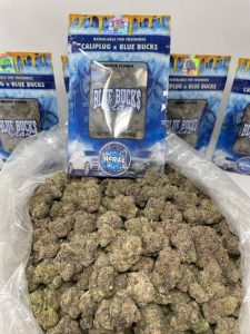 cali plug weed