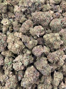 gmo strain