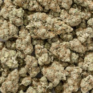 violet fog strain