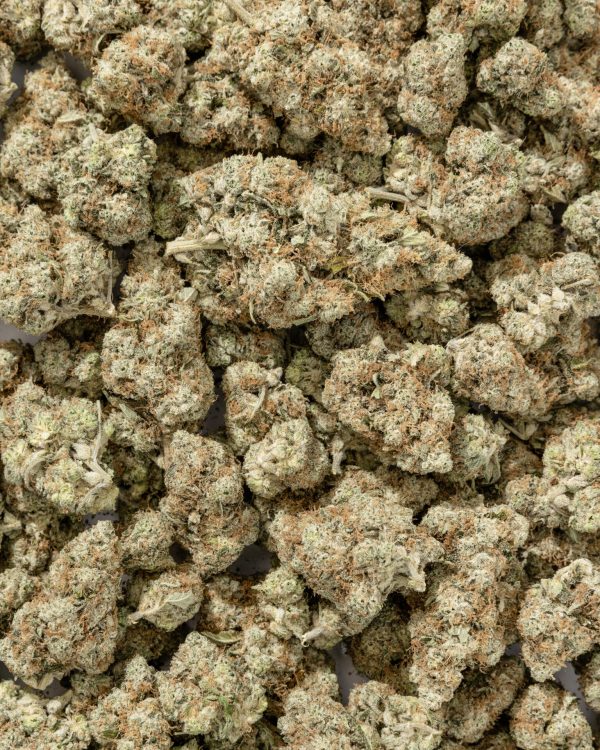 violet fog strain