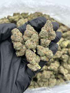 bubble burst strain