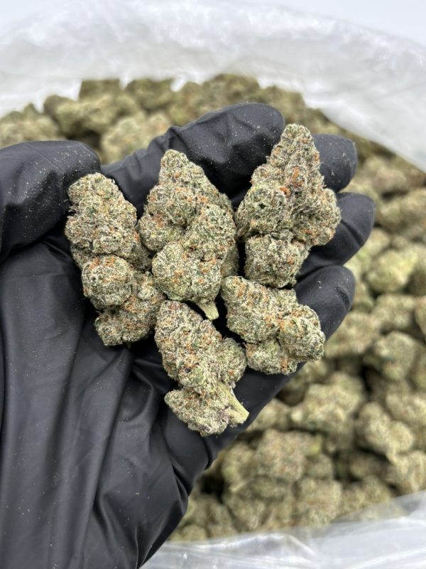 bubble burst strain