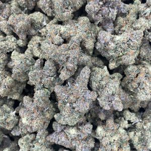gmo strain