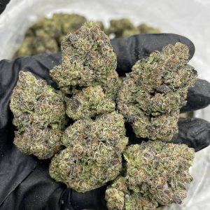 bluemosa strain