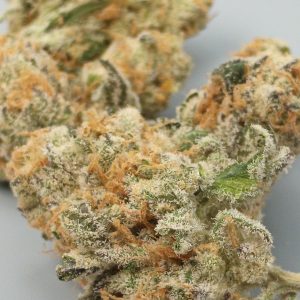 violet fog strain