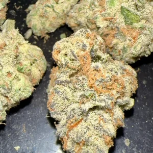violet fog strain