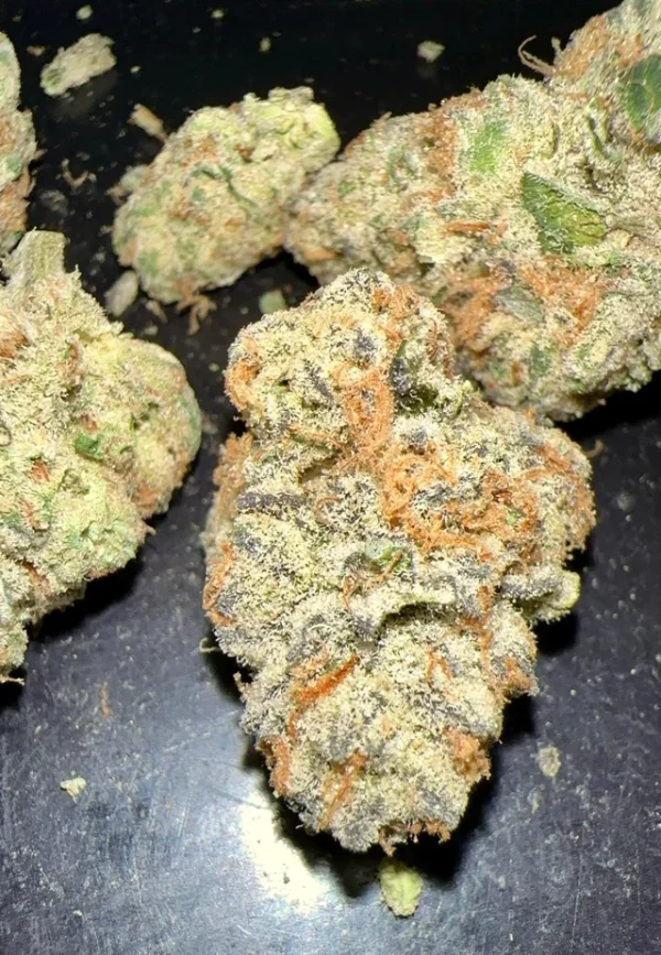 violet fog strain