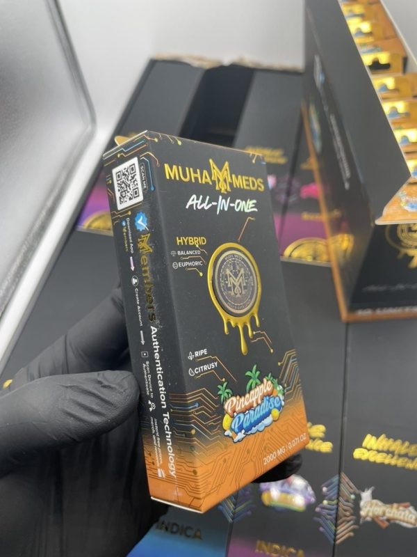 muha meds all in one 2g disposable